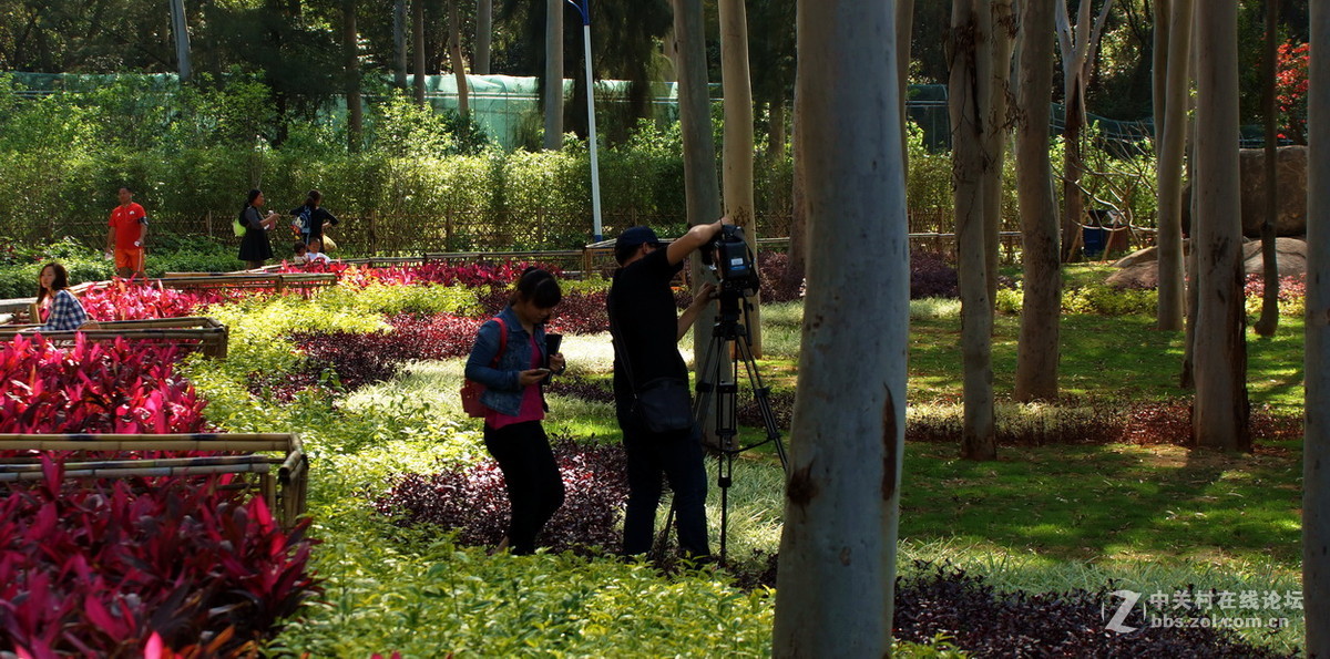 厦门忠仑公园随拍