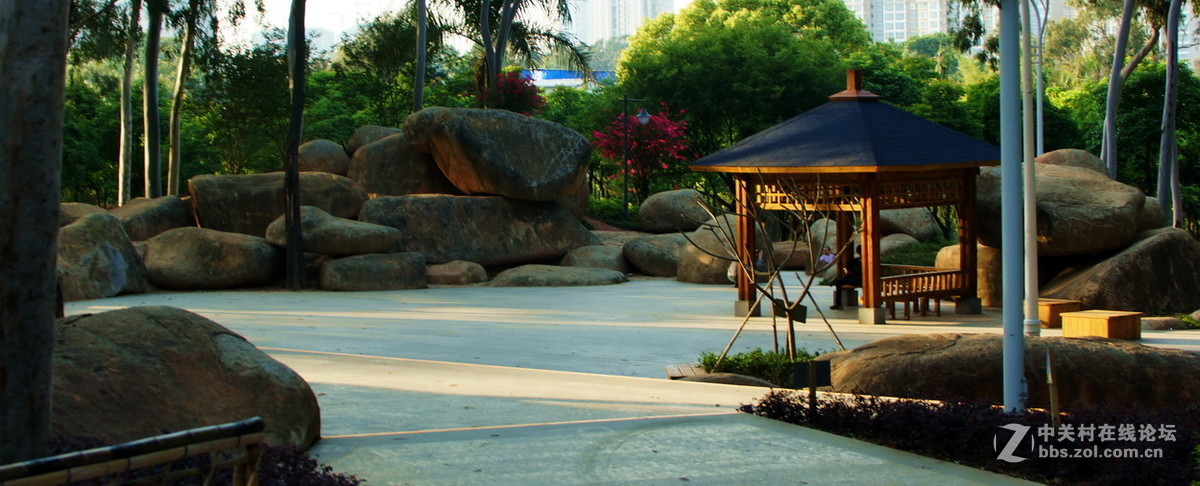 厦门忠仑公园随拍