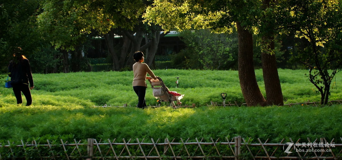 厦门忠仑公园随拍