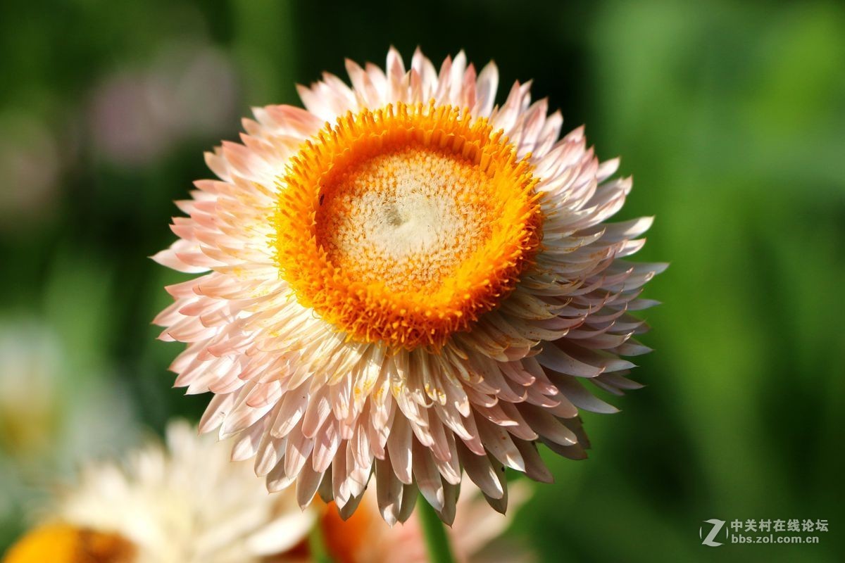 #版主坐堂# 牡丹江星空(中国)（6月份）精华精选