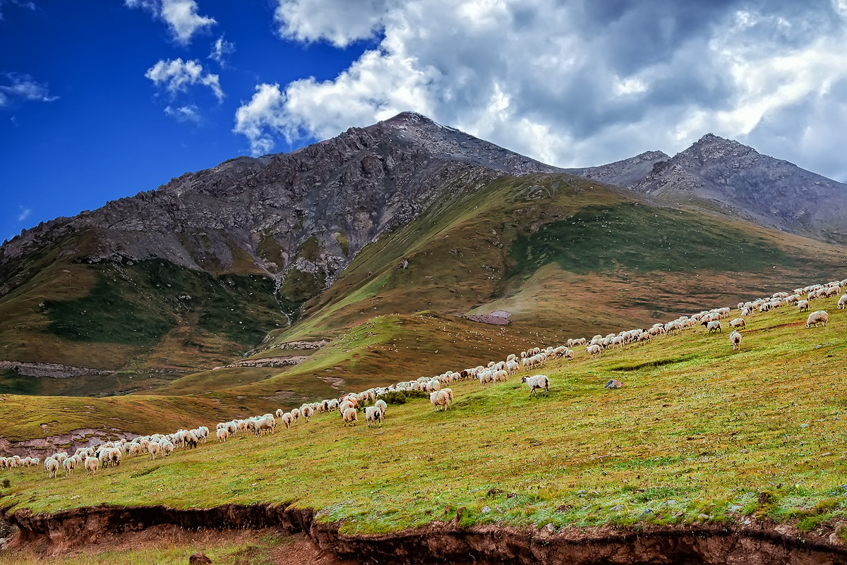 #版主坐堂# 牡丹江星空(中国)（6月份）精华精选
