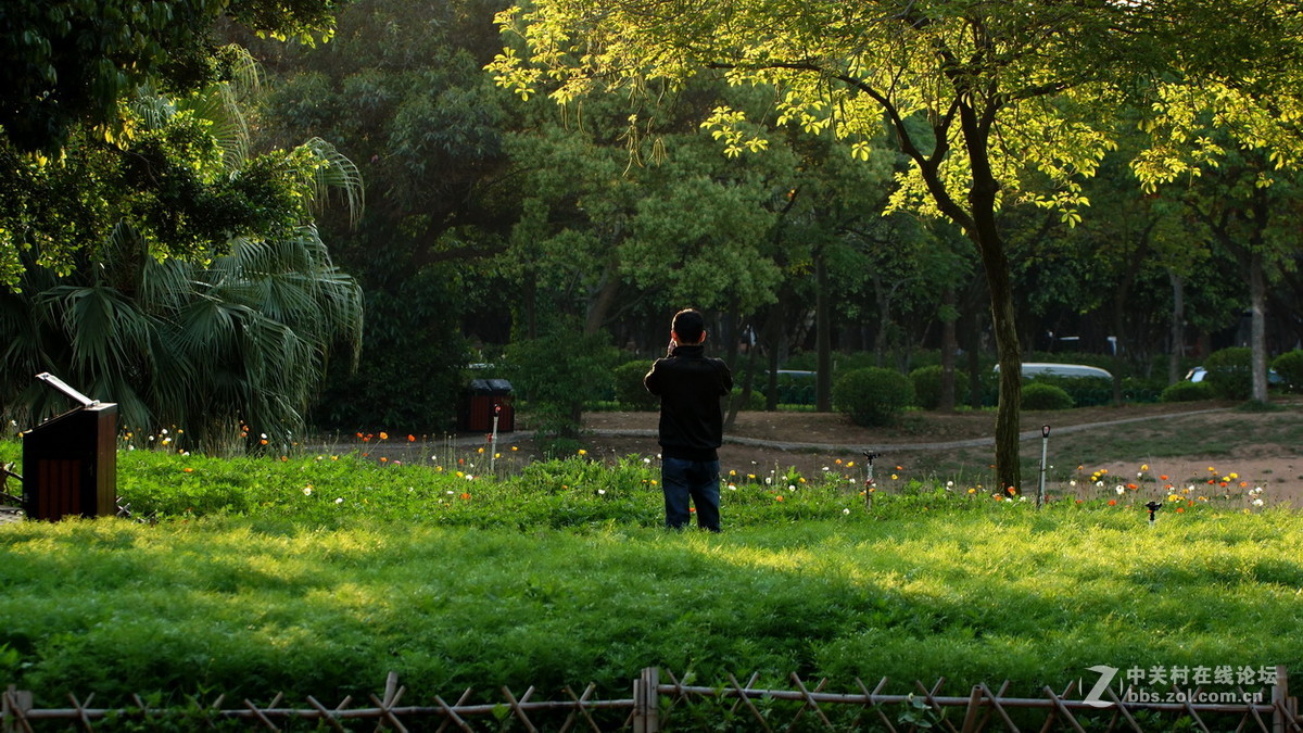 厦门忠仑公园随拍