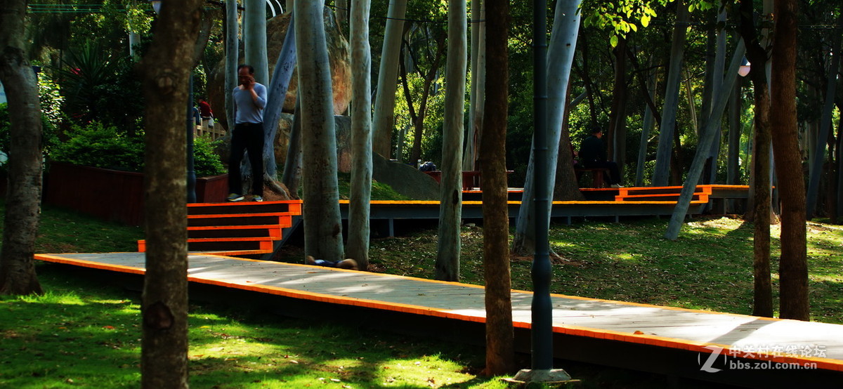 厦门忠仑公园随拍