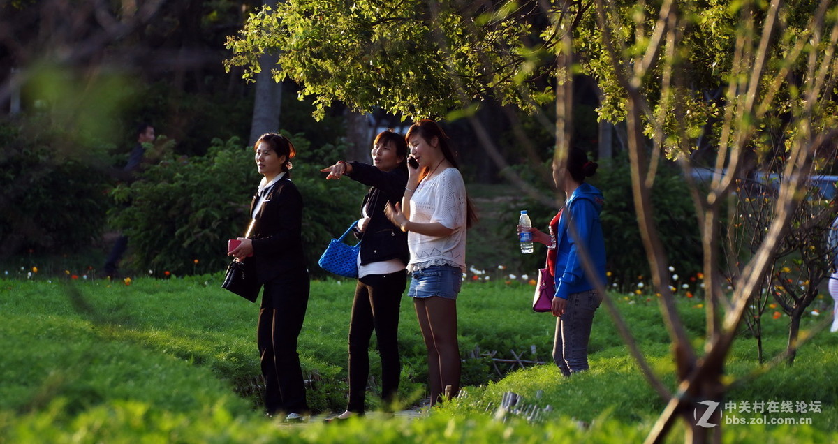 厦门忠仑公园随拍