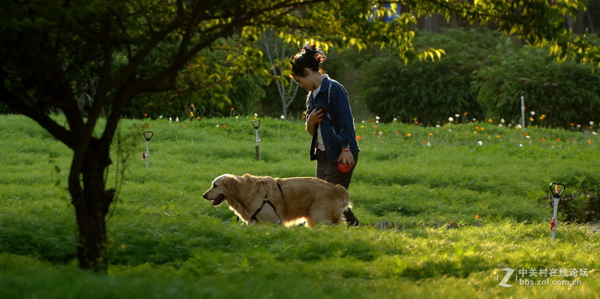 厦门忠仑公园随拍