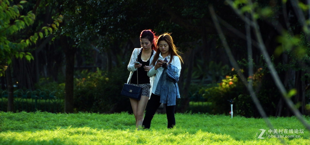 厦门忠仑公园随拍