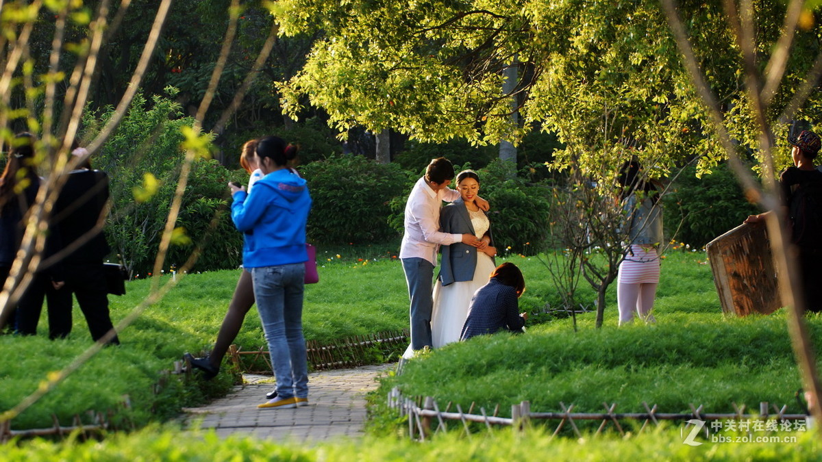 厦门忠仑公园随拍