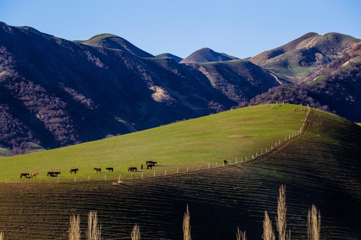 #版主坐堂# 牡丹江星空(中国)（6月份）精华精选