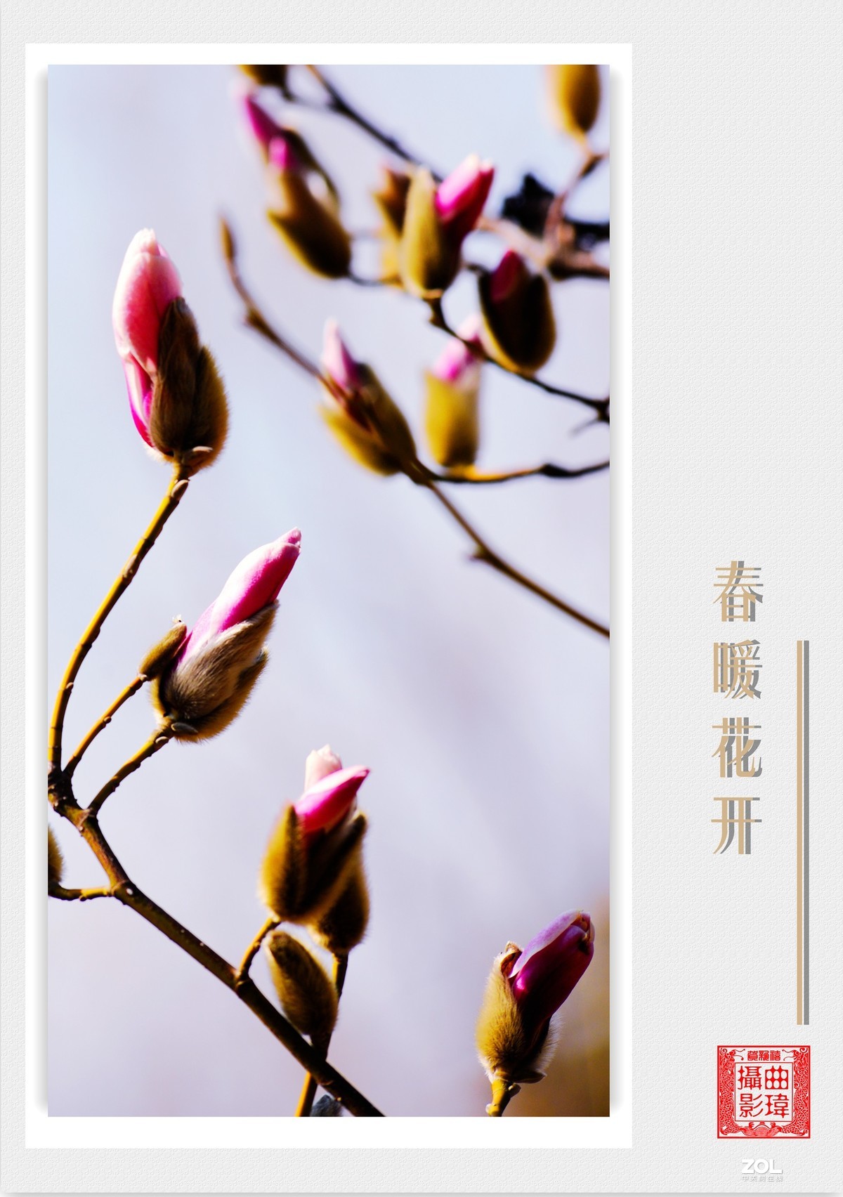 春暖花开