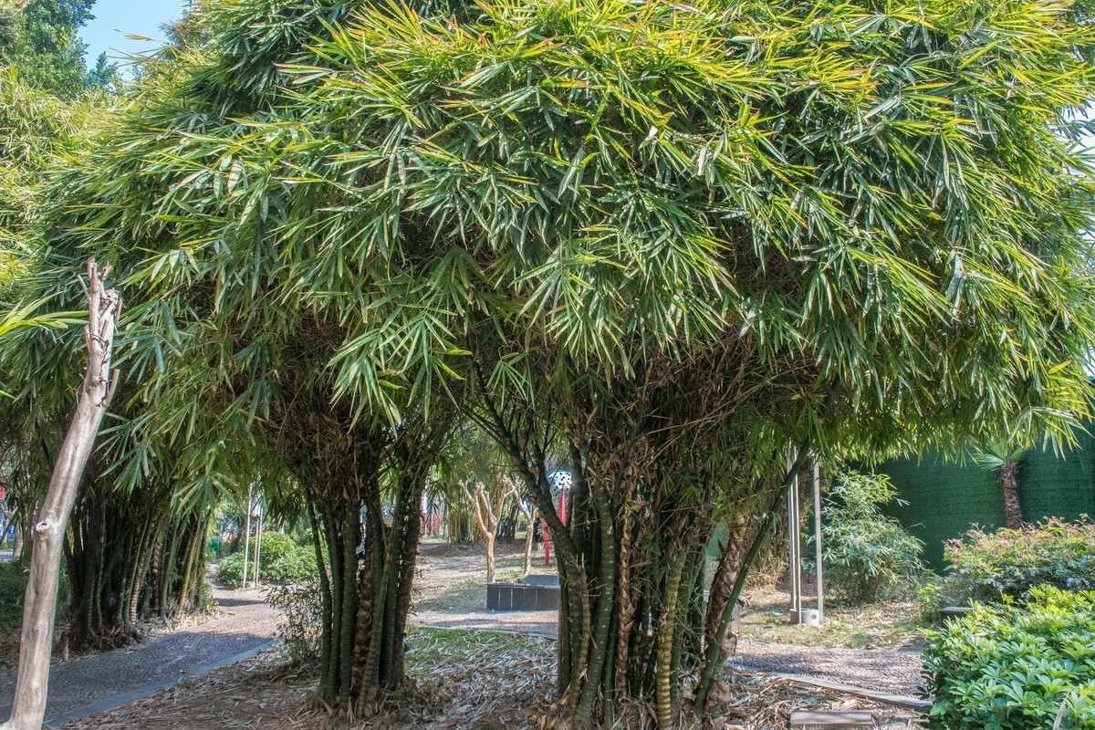 绿水青山,春暖花开!病毒再不再来?
