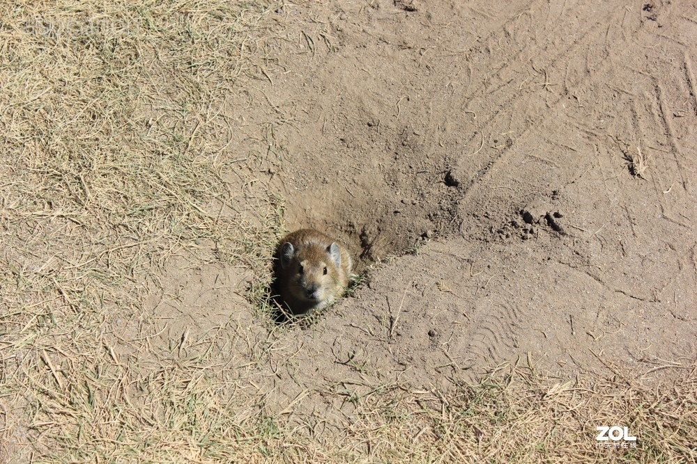 感受自然美景 两湖自驾游：茶卡盐湖、青海湖