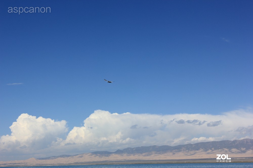感受自然美景 两湖自驾游：茶卡盐湖、青海湖