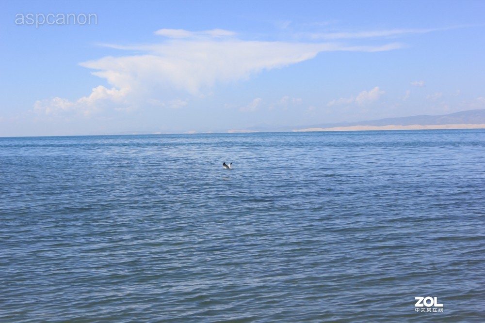 感受自然美景 两湖自驾游：茶卡盐湖、青海湖