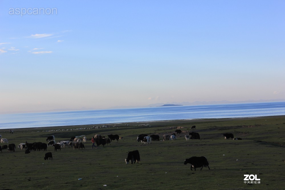 感受自然美景 两湖自驾游：茶卡盐湖、青海湖