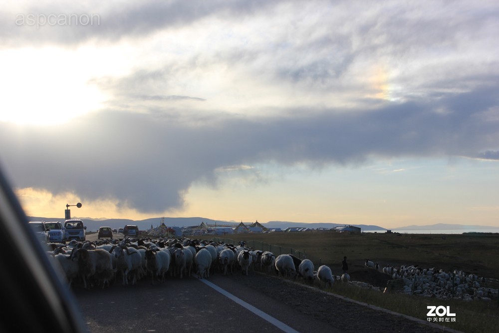 感受自然美景 两湖自驾游：茶卡盐湖、青海湖