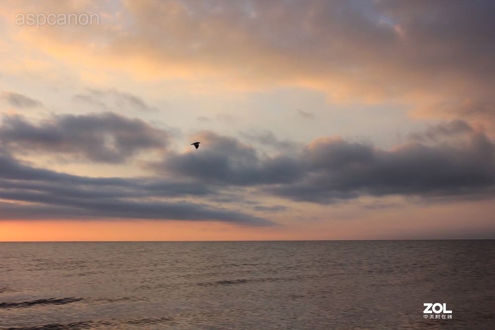 感受自然美景 两湖自驾游：茶卡盐湖、青海湖
