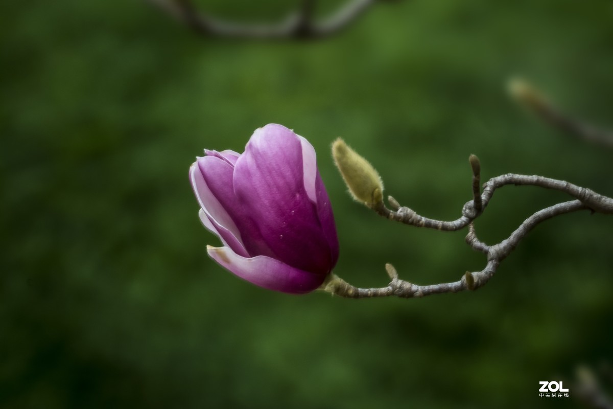 几张近期的拙作，向各位师友汇报