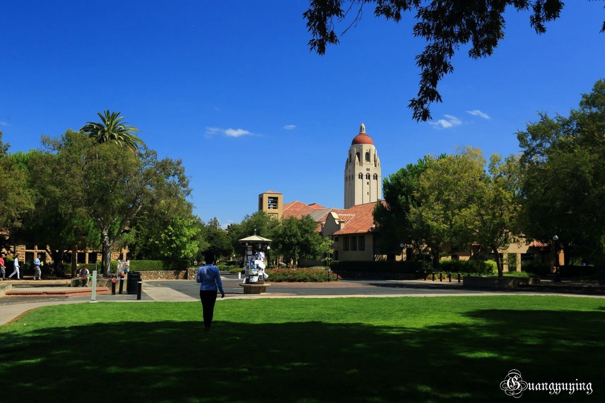 斯坦福大学