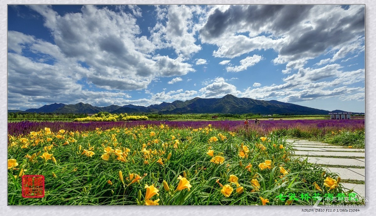七孔桥花海景区