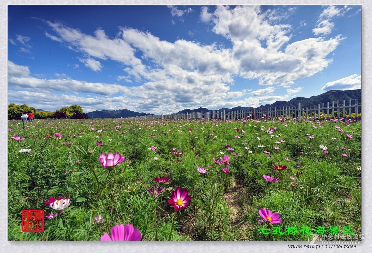 七孔桥花海景区