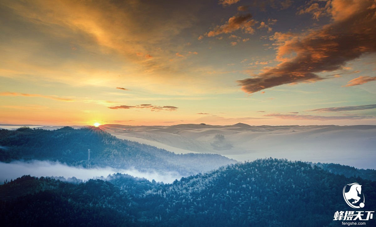 蜂摄天下--湖南紫鹊梯田