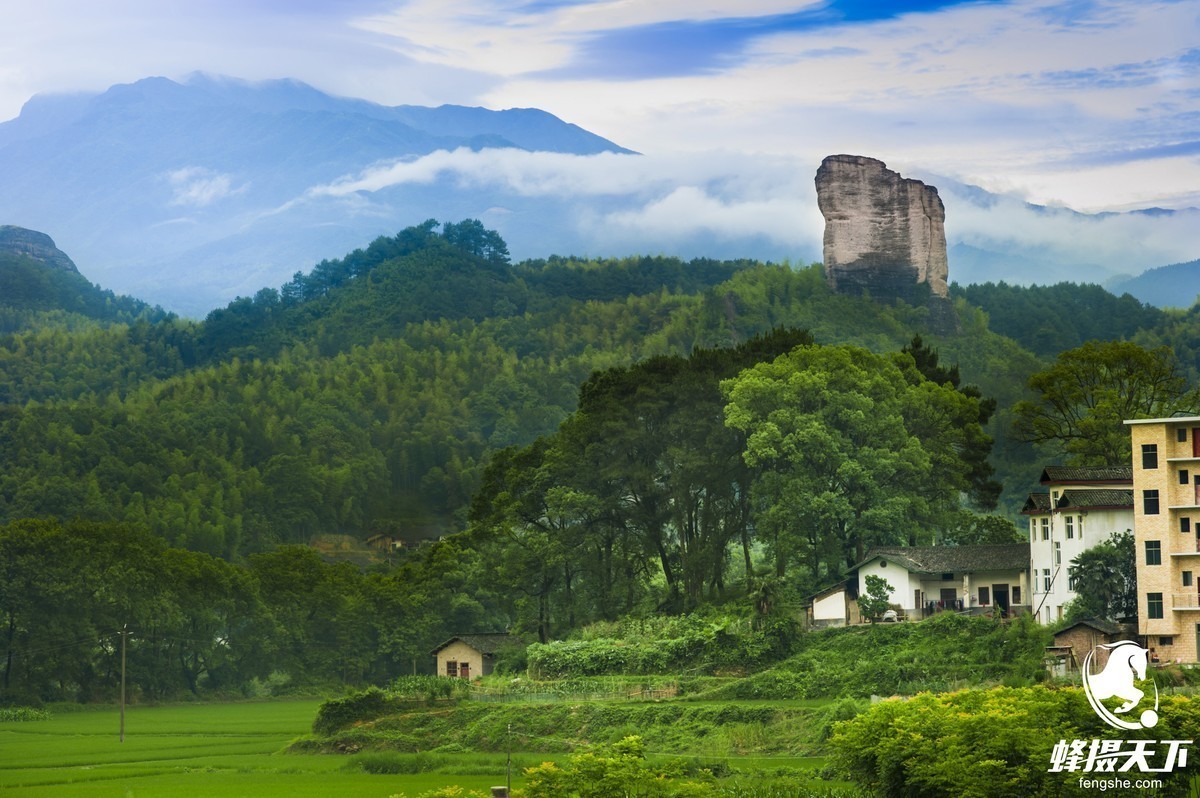 蜂摄天下--湖南紫鹊梯田
