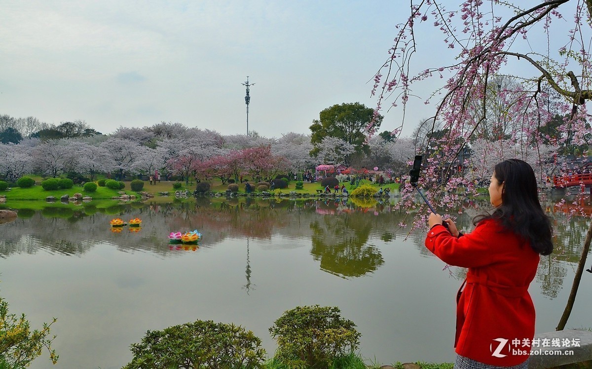 #版主坐堂# 旅游版块2019年4月份精华贴选编
