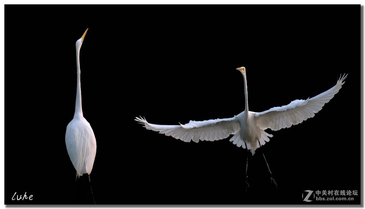 #版主坐堂# 旅游版块2019年4月份精华贴选编