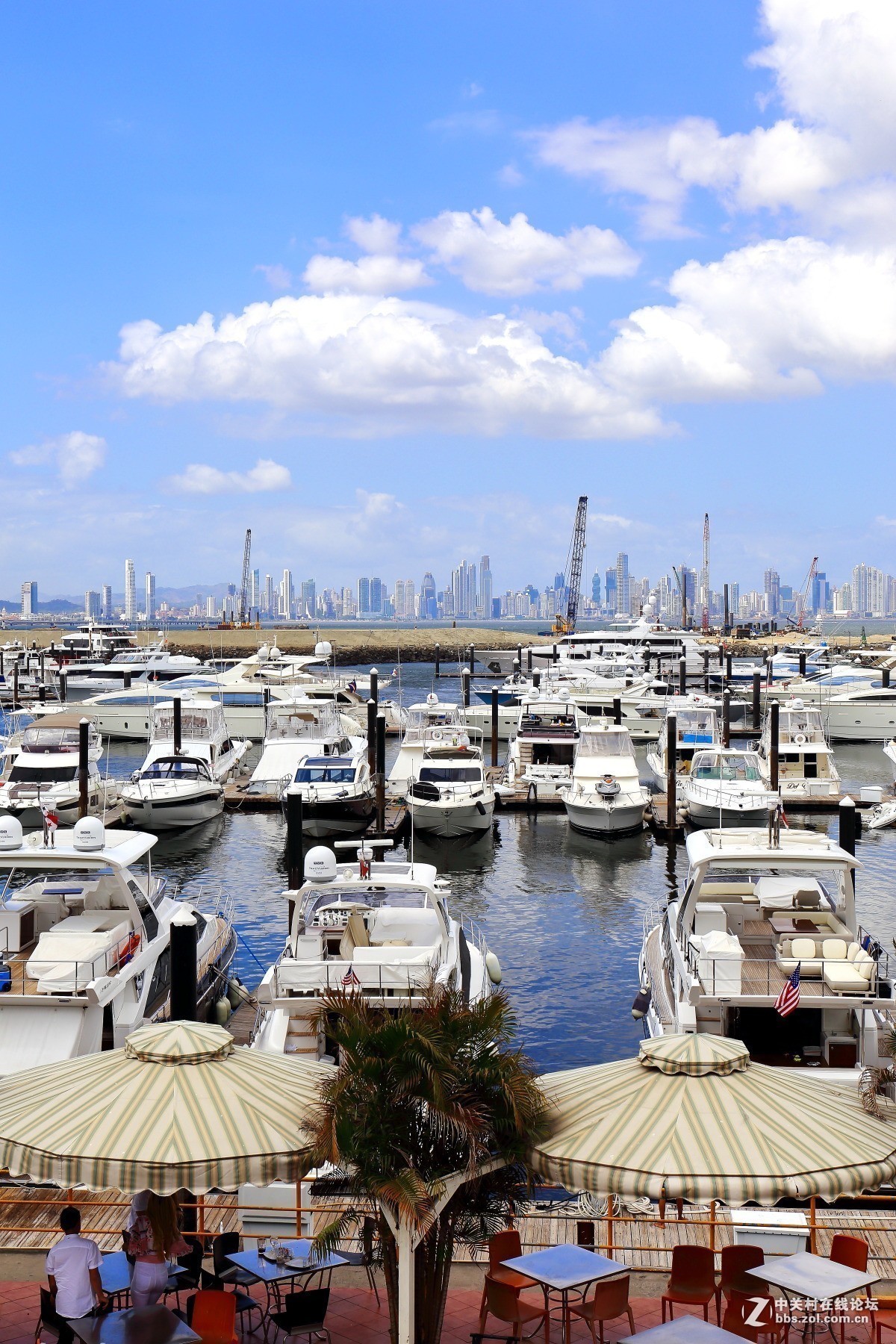 #版主坐堂# 旅游版块2019年4月份精华贴选编