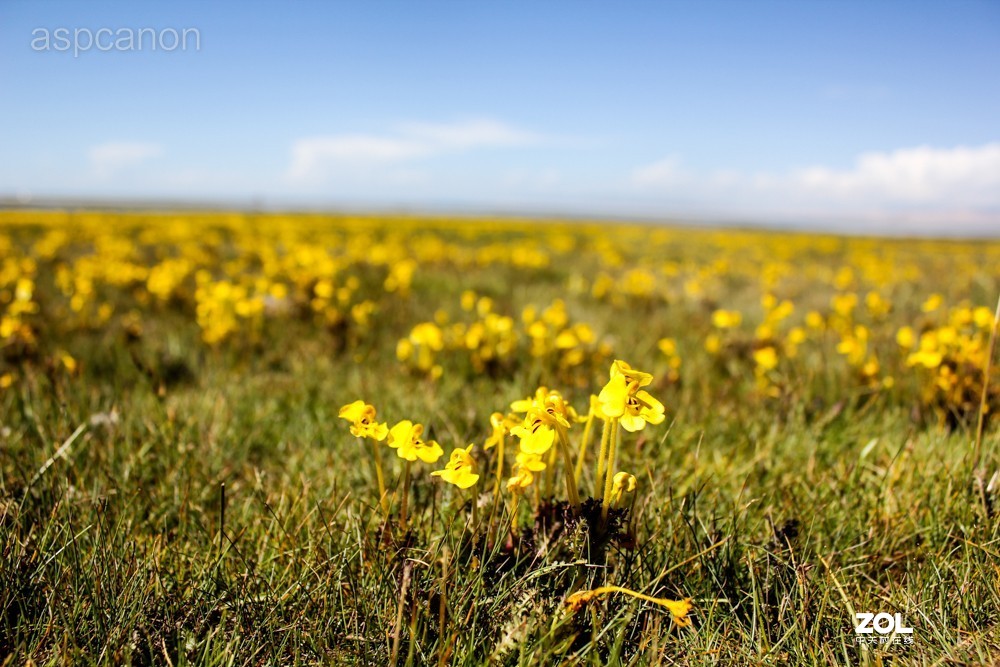 感受自然美景 两湖自驾游：茶卡盐湖、青海湖