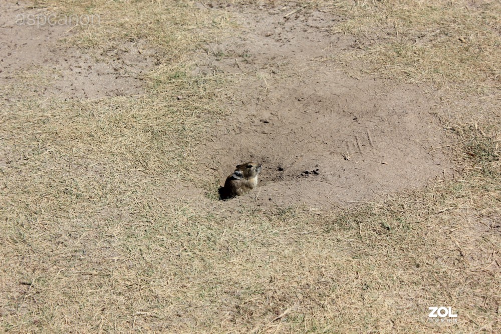 感受自然美景 两湖自驾游：茶卡盐湖、青海湖