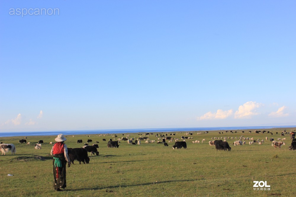 感受自然美景 两湖自驾游：茶卡盐湖、青海湖