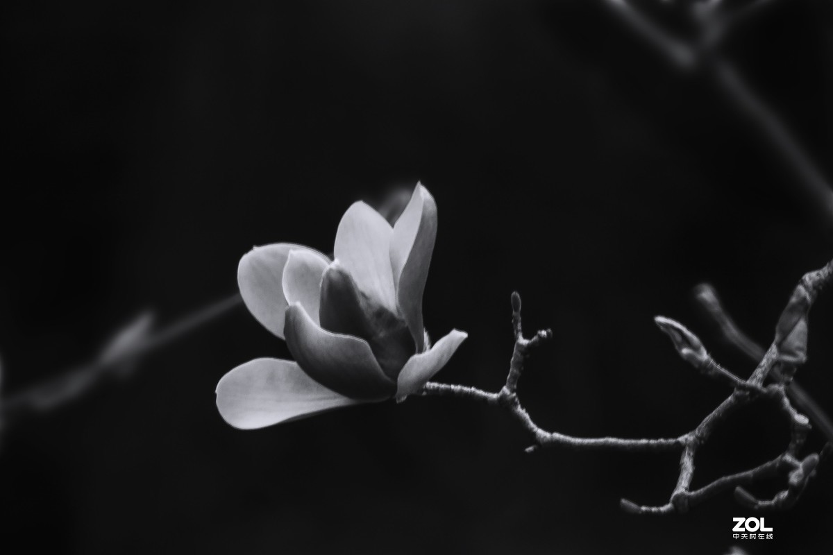 几张近期的拙作，向各位师友汇报
