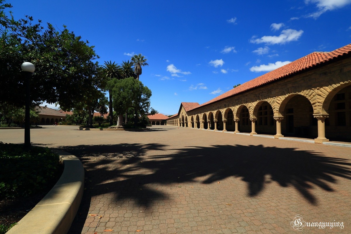 斯坦福大学
