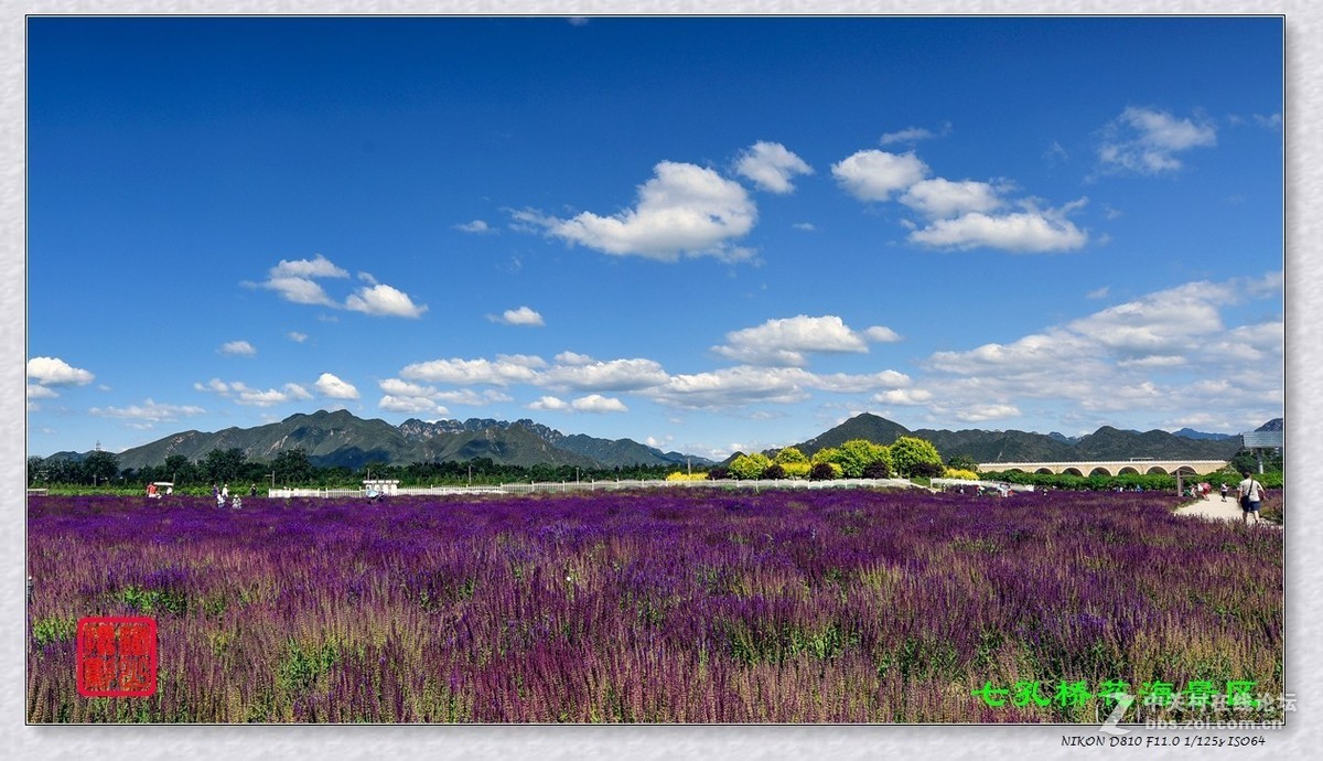 七孔桥花海景区