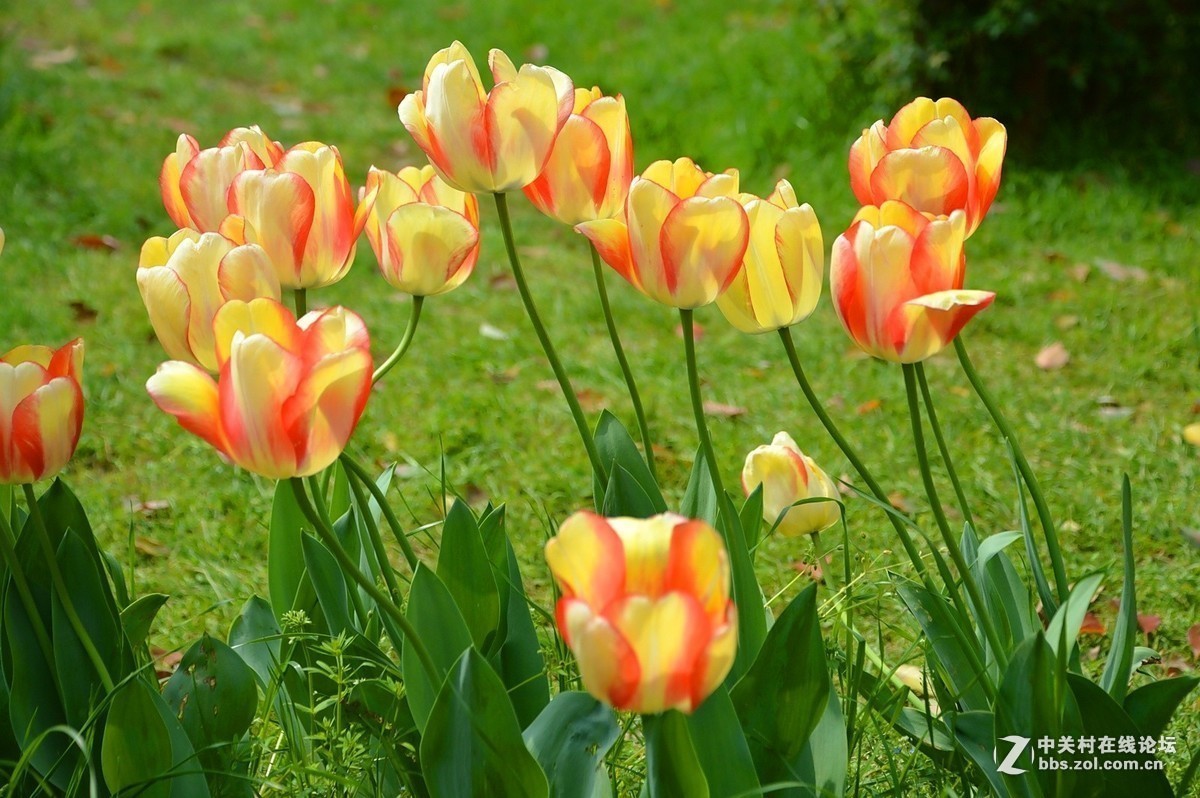 #版主坐堂# 旅游版块2019年4月份精华贴选编