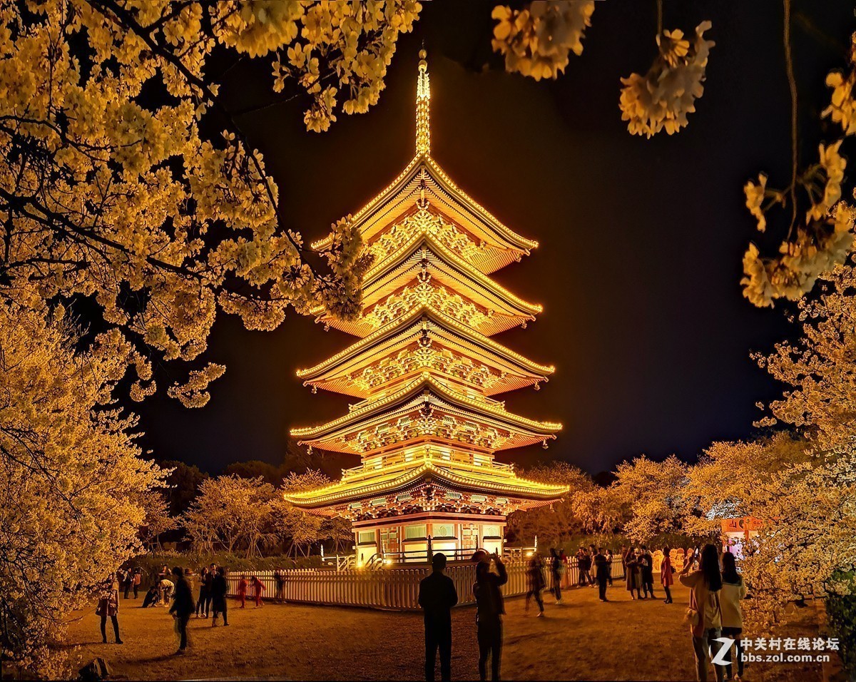 #版主坐堂# 旅游版块2019年4月份精华贴选编