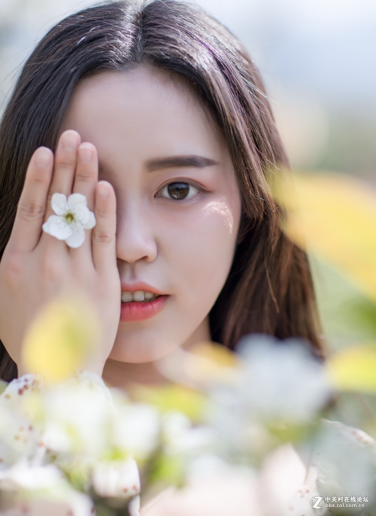 #版主坐堂# 旅游版块2019年4月份精华贴选编