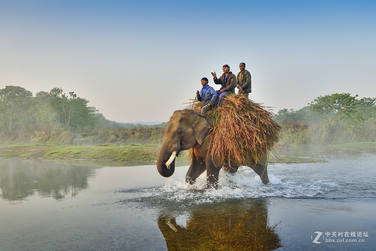 #版主坐堂# 旅游版块2019年4月份精华贴选编