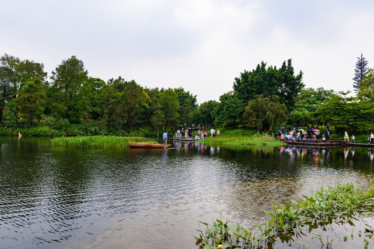 适马17-50镜头初步印象