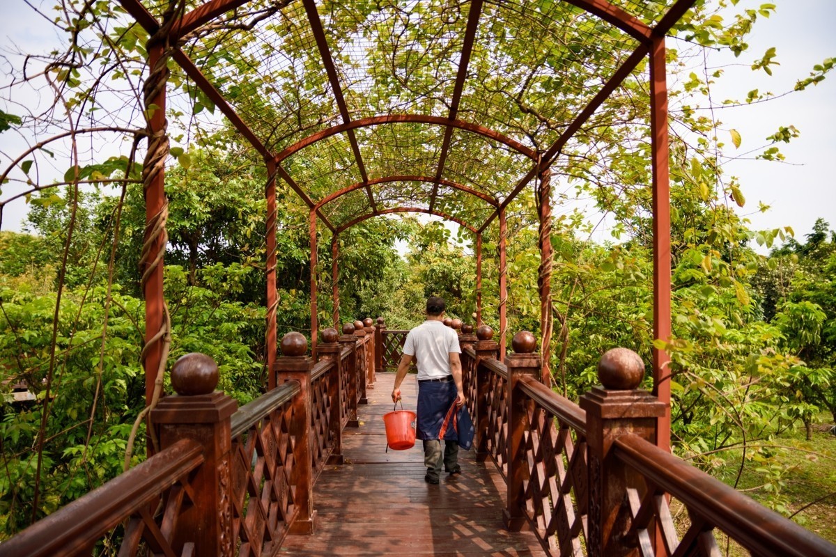 适马17-50镜头初步印象