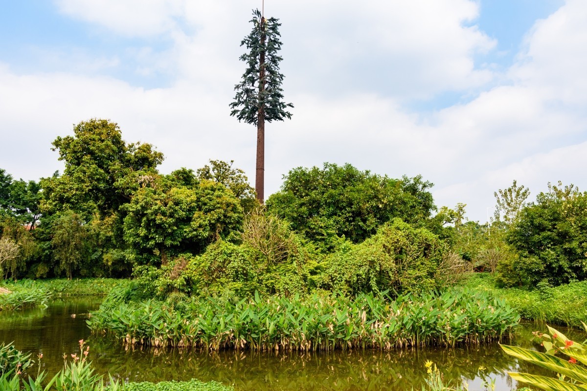 适马17-50镜头初步印象