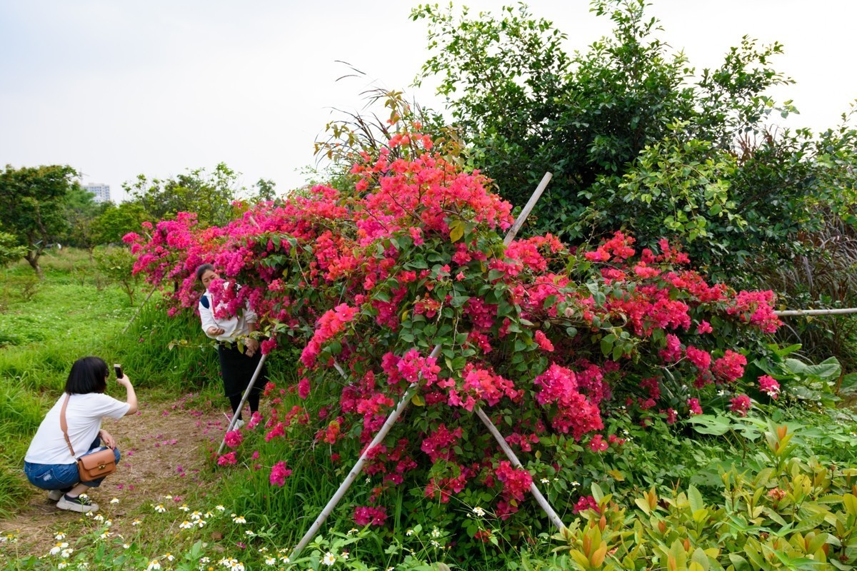 适马17-50镜头初步印象