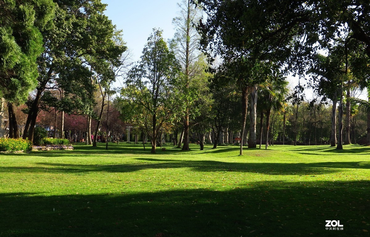 春天里的西华园公园