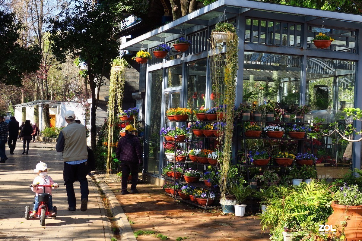 春天里的西华园公园