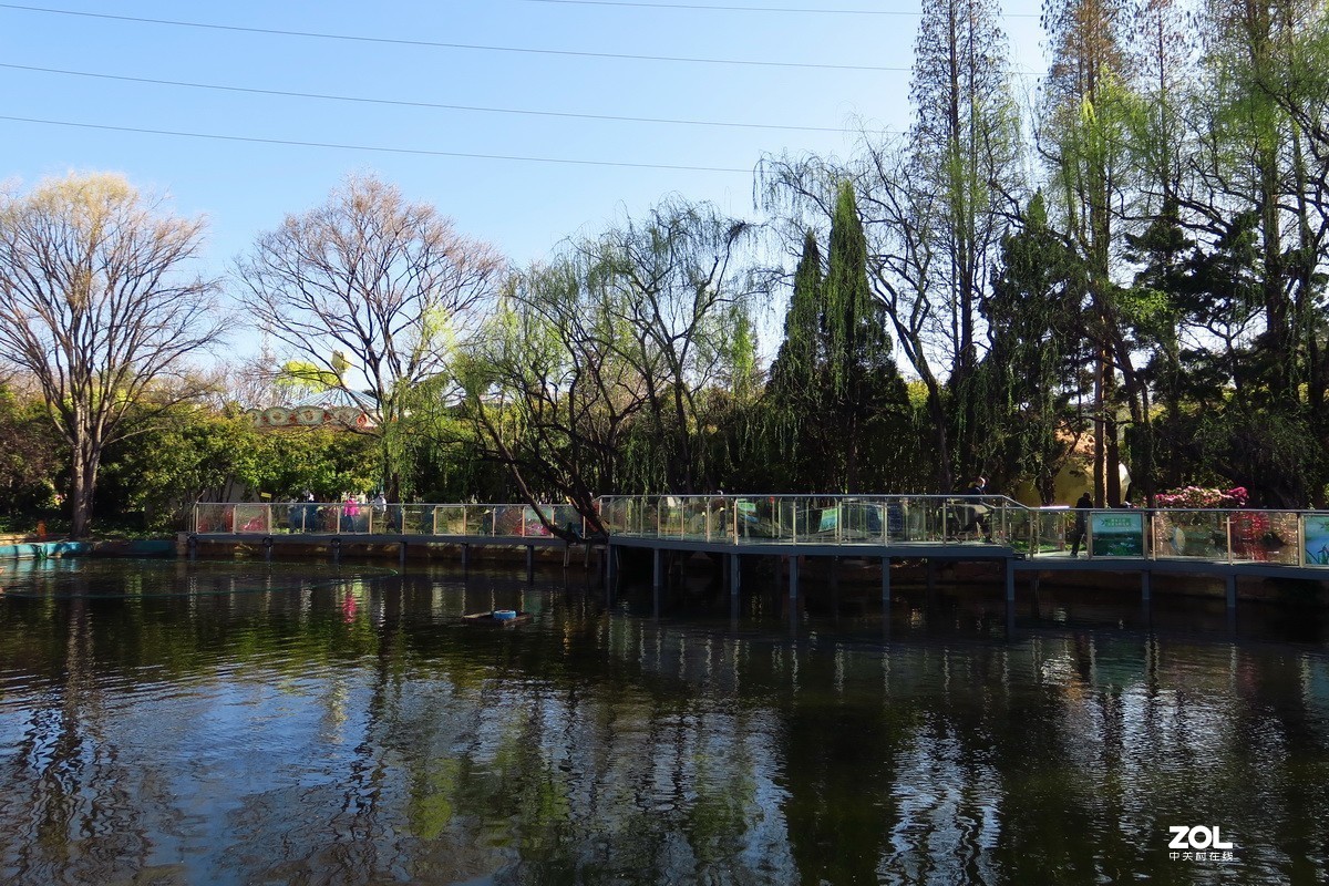 春天里的西华园公园