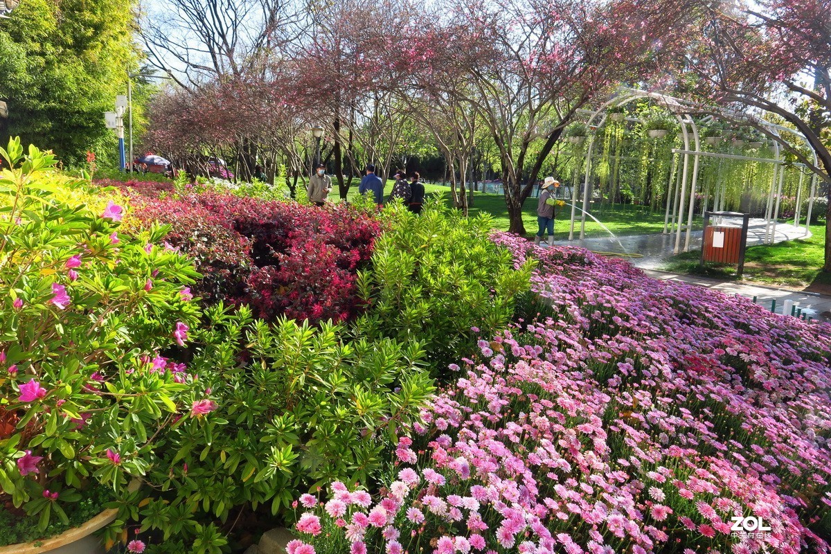 春天里的西华园公园