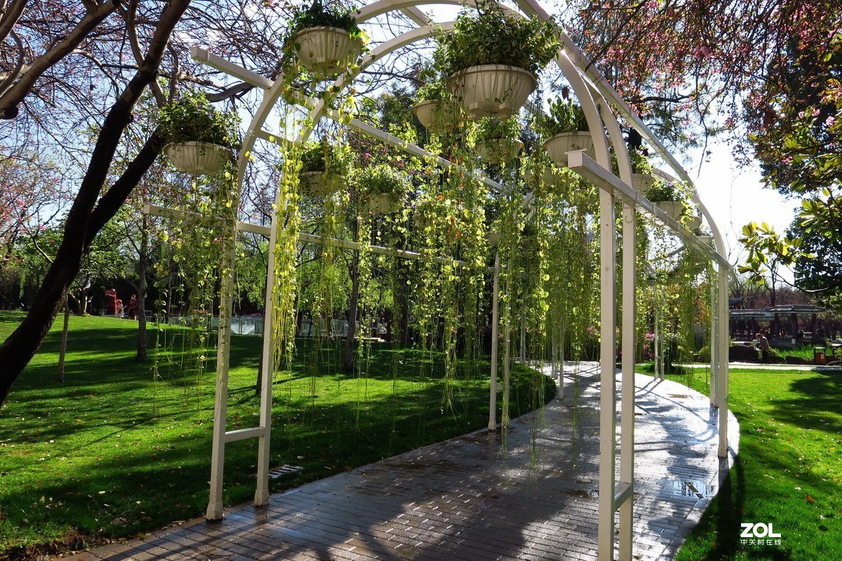 春天里的西华园公园