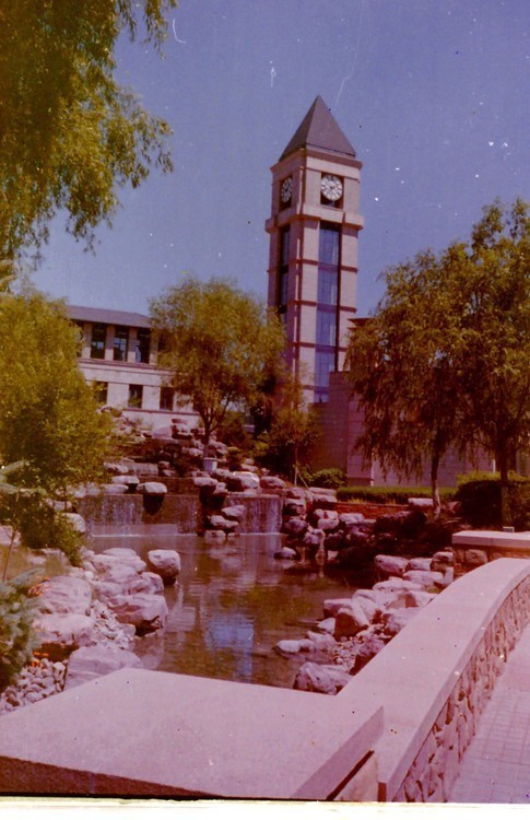 草原都市草原情