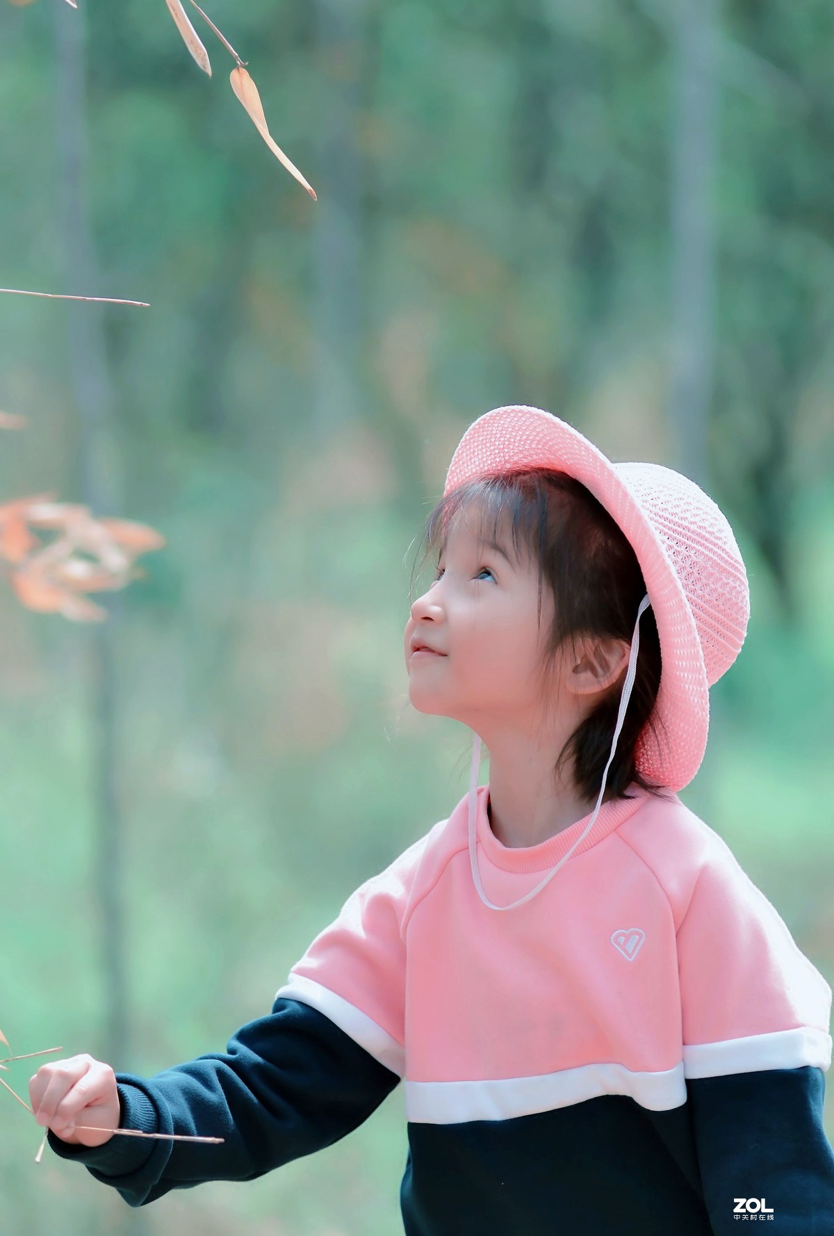 儿童片∶明是儿童节，祝全国少年儿童节日愉快！